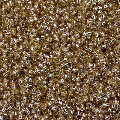 MIYUKI Delica Beads X-SEED-J020-DB2155-1