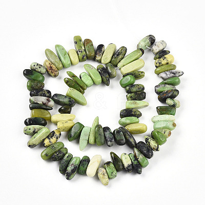Natural Serpentine Beads Strands G-T140-62-1