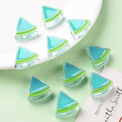 Transparent Enamel Acrylic Beads TACR-S155-001G-1