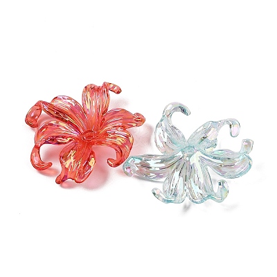 Transparent Acrylic Beads LS-X-MACR-K358-06A-1
