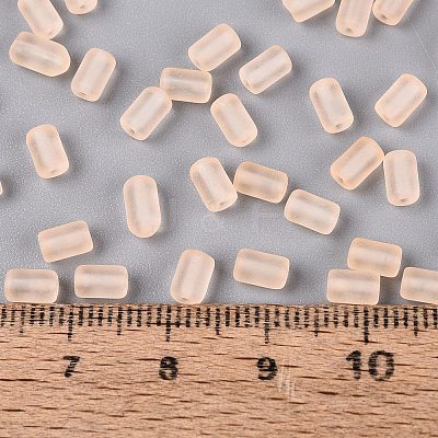 FGB Frosted Transparent Glass Seed Beads SEED-N013-05A-03-1