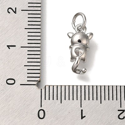 Rack Plating Brass Micro Pave Cubic Zirconia Charms KK-I720-31P-1