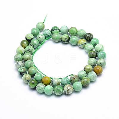 Natural Variscite Beads Strands G-G823-02-8mm-1