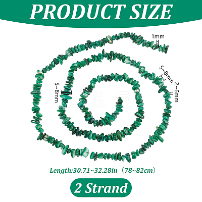Natural Freshwater Shell Beads Strands BSHE-WH0006-05D-1