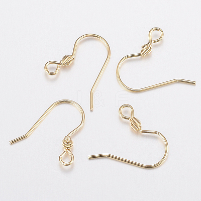 304 Stainless Steel Earring Hooks STAS-H436-04-1