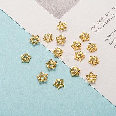 Tibetan Style Alloy Bead Caps LS-K08A7011-1