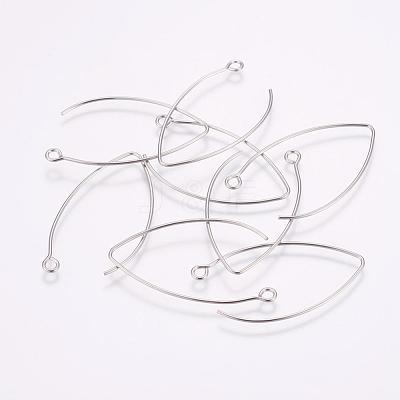 Tarnish Resistant 304 Stainless Steel Hook Earrings X-STAS-K148-10-1