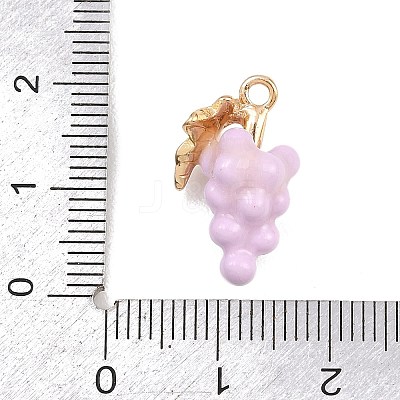 Fruit Alloy Enamel Pendants ENAM-P264-02G-G04-1