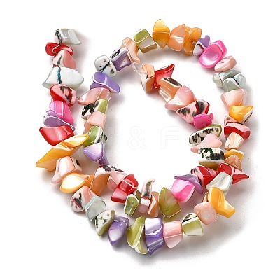 Natural Trochid Shell/Trochus Shell Beads Strands SHEL-B003-02L-1