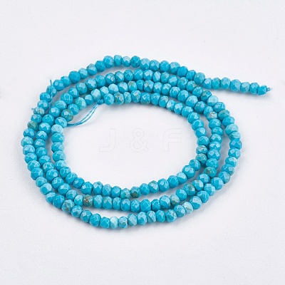 Dyed Natural Turquoise Beads Strands TURQ-F010-05-1