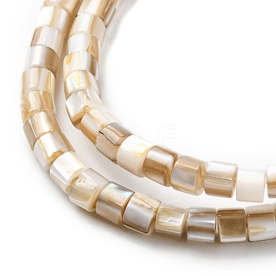 Natural Freshwater Shell Beads Strands SHEL-R129-05-1