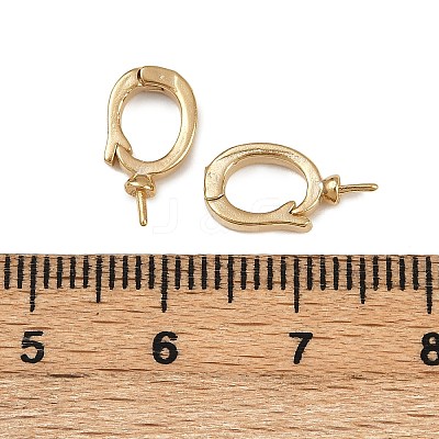 Oval Brass Twister Clasps KK-P310-06G-1