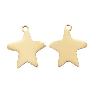 304 Stainless Steel Pendants LS-STAS-I140-13G-1