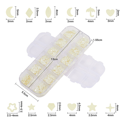 Nail Art Sequins MRMJ-T019-10-1