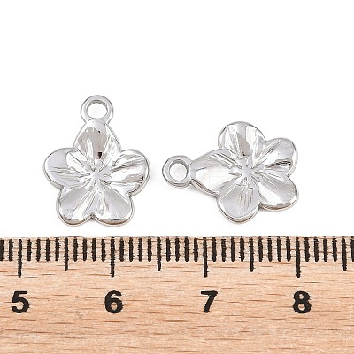 304 Stainless Steel Charms X-STAS-L317-02P-1