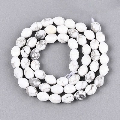 Natural Howlite Beads Strands G-T142-79-1
