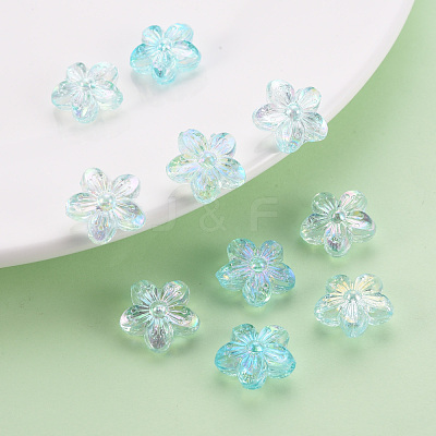 Transparent Acrylic Beads TACR-S154-45C-754-1