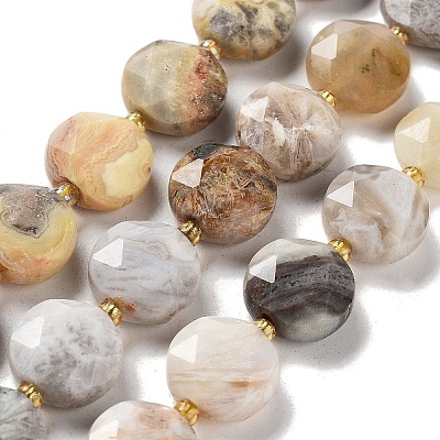 Natural Crazy Lace Agate Beads Strands G-NH0004-032-1