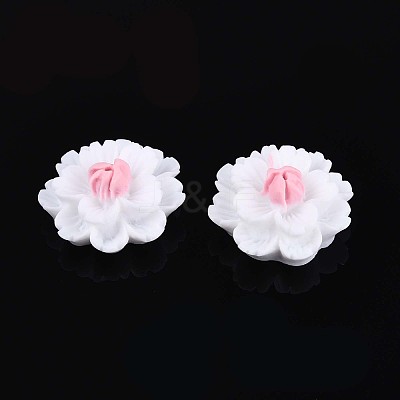 Resin Decoden Cabochons CRES-T025-04A-1