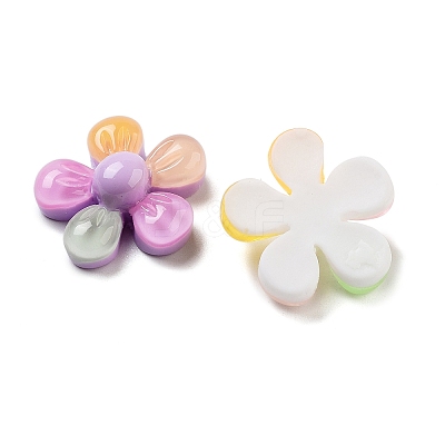 Translucent Resin Decoden Cabochons RESI-B027-02-1