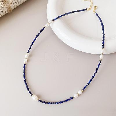 Elegant Natural Freshwater Pearl Rice & Natural Lapis Lazuli Faceted Round Beaded Necklaces for Women HF8817-1