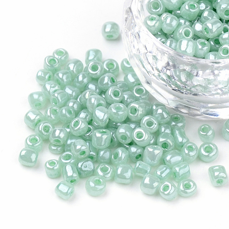 (Repacking Service Available) Glass Seed Beads SEED-C020-4mm-154-1