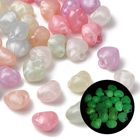 Luminous Transparent Acrylic Pendants LACR-S001-03-1