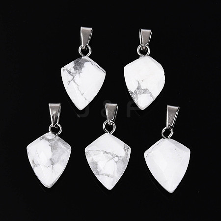 Natural Howlite Pendants G-N349-18P-07-1