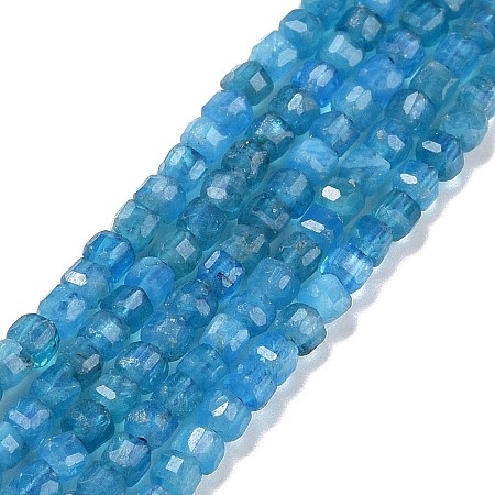 Natural Apatite Beads Strands G-C009-B14-1