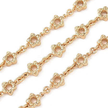 Alloy Flower Link Chains LCHA-L002-03G-1