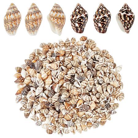   330Pcs 2 Styles Natural Shell Beads BSHE-PH0001-39-1