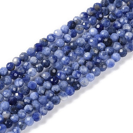 Natural Sodalite Beads Strands X-G-G139-A07-02-1