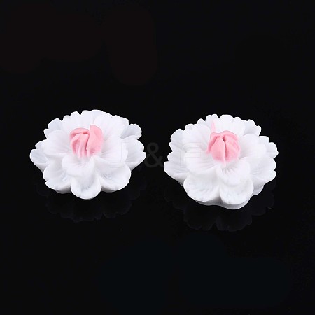 Resin Decoden Cabochons CRES-T025-04A-1