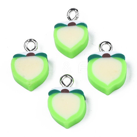 Handmade Polymer Clay Charms CLAY-S096-020B-1