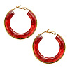 304 Stainless Steel Acrylic Hoop Earrings FS-WG57303-10-1