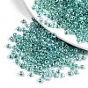 6/0 Glass Seed Beads X-SEED-A016-4mm-216-1