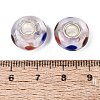Handmade Lampwork & Brass Core European Beads LAMP-N044-04S-01-4