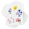 Dried Embossed Paper DIY-WH0622-646B-1