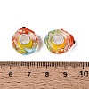 3D Lampwork & Brass Core European Beads LAMP-Q042-01D-3