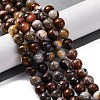 Natural Mexico Crazy Agate Beads Strands X-G-L615-A01-02-1