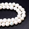 Grade A Natural Cultured Freshwater Pearl Beads Strands PEAR-NB0001-27-5