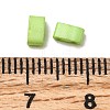 2-Hole Baking Paint Glass Seed Beads LS-SEED-S023-17B-44-3