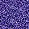 MIYUKI Delica Beads SEED-X0054-DB2359-3