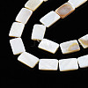 Natural Freshwater Shell Beads Strands SHEL-Q024-013-3