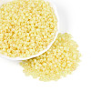 6/0 Glass Seed Beads SEED-N008-07F-1