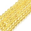 Natural Amber Beads Strands G-L095-B01-5mm-01-2