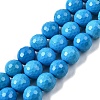 Natural Magnesite Beads Strands G-P598-E-10mm-02-2