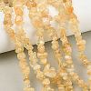 Gemstone Beads Strands F044-1