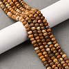 Natural Picture Jasper Beads Strands G-P587-D12-01-1