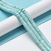 Natural Howlite Beads Strands G-E604-A04-B-2